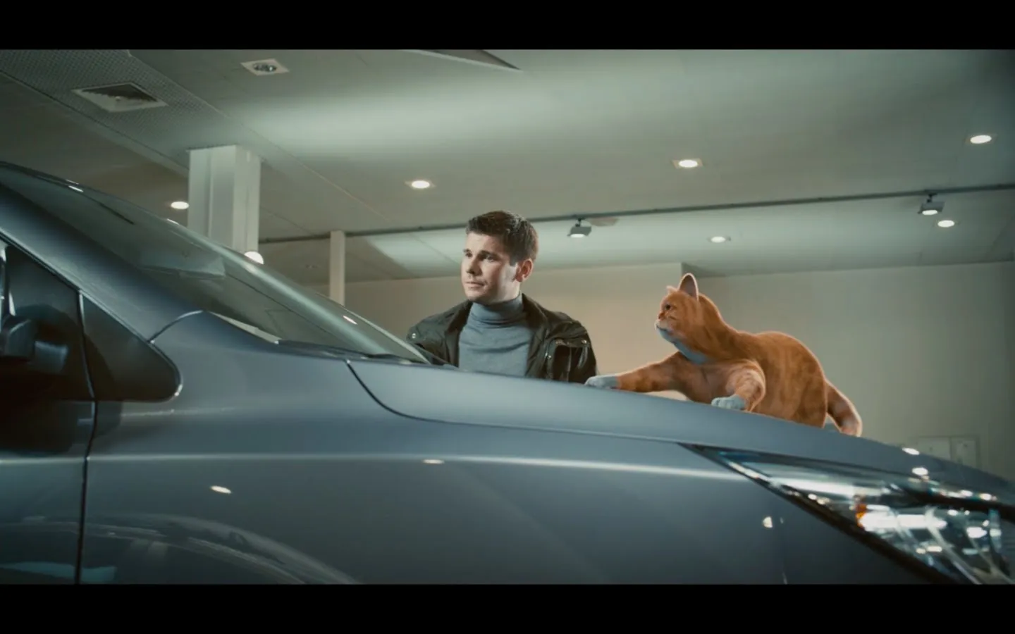 HYUNDAI - Кот выбирает тачку HYUNDAI - Кот выбирает тачку
