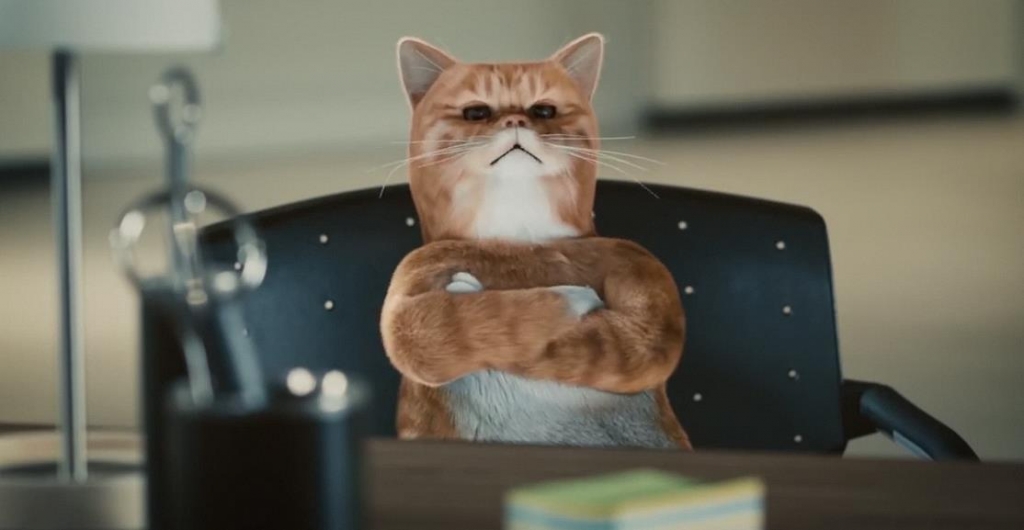 Музыка из рекламы HYUNDAI - Кот выбирает тачку