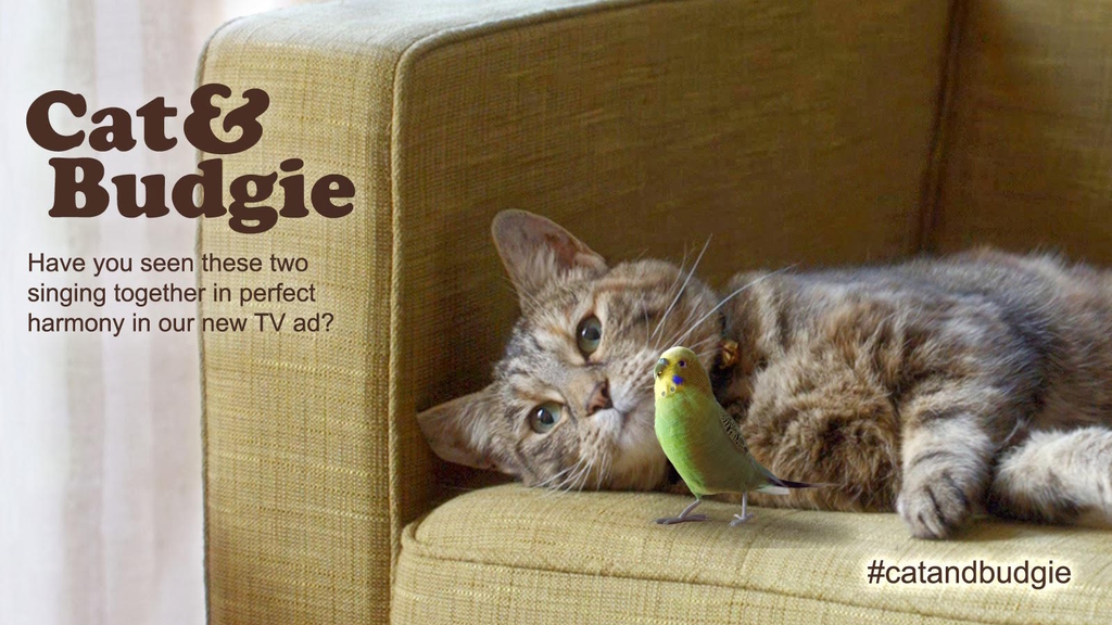 Музыка из рекламы Freeview - Cat and Budgie