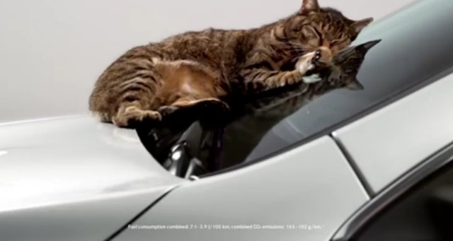 Музыка и видеоролик из рекламы Mercedes-Benz CLA - Cat