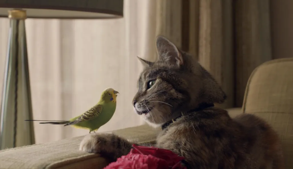 Freeview - Cat and Budgie Freeview - Cat and Budgie