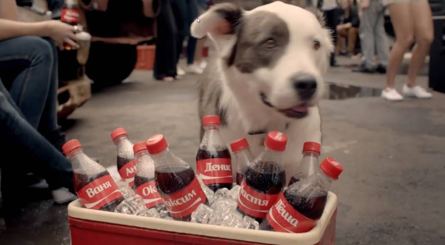 Музыка из рекламы Coca-Cola - Это твоя Coca-Cola, Бобик!