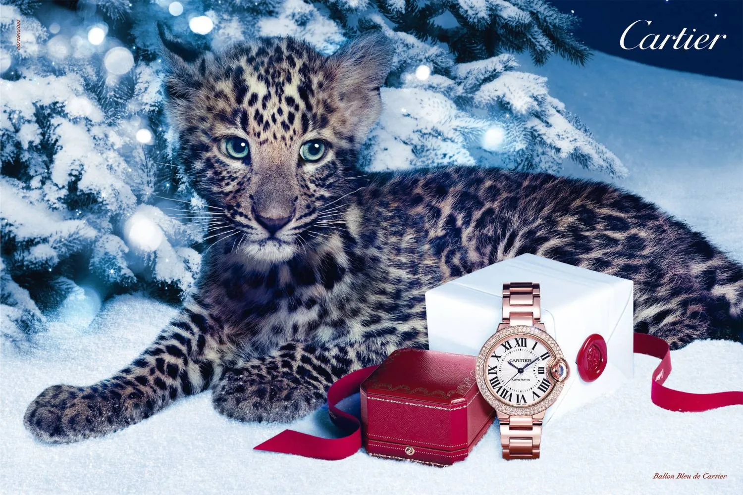 Cartier - Winter Tale Cartier - Winter Tale