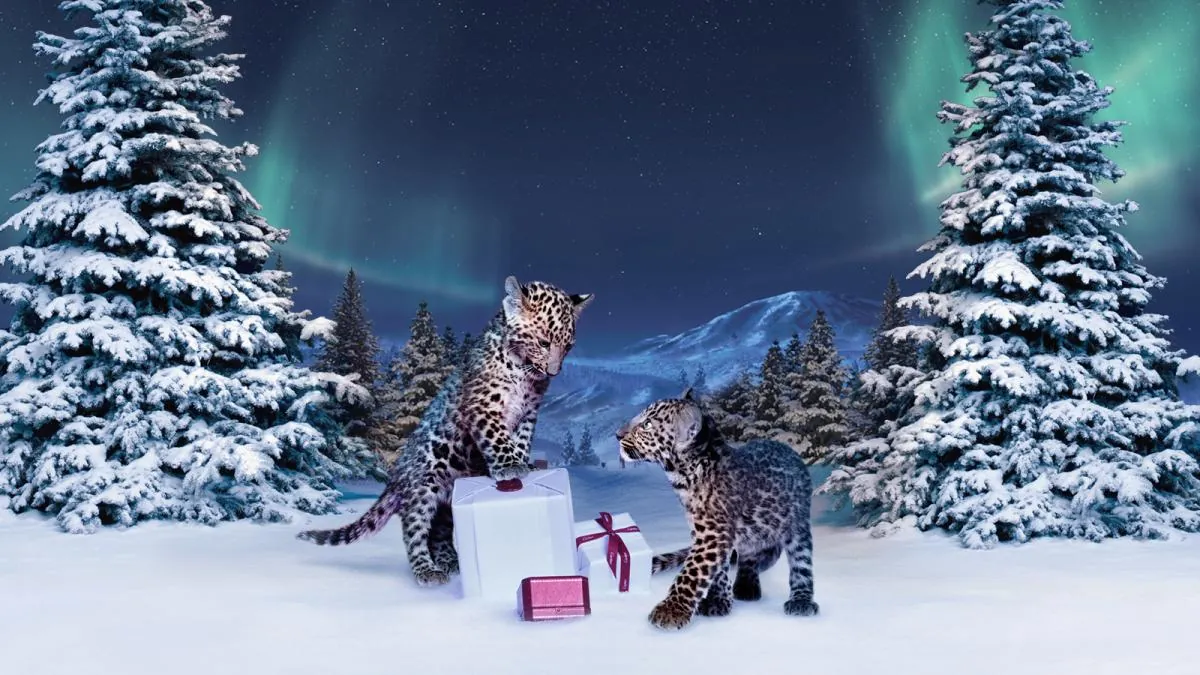 Cartier - Winter Tale Cartier - Winter Tale