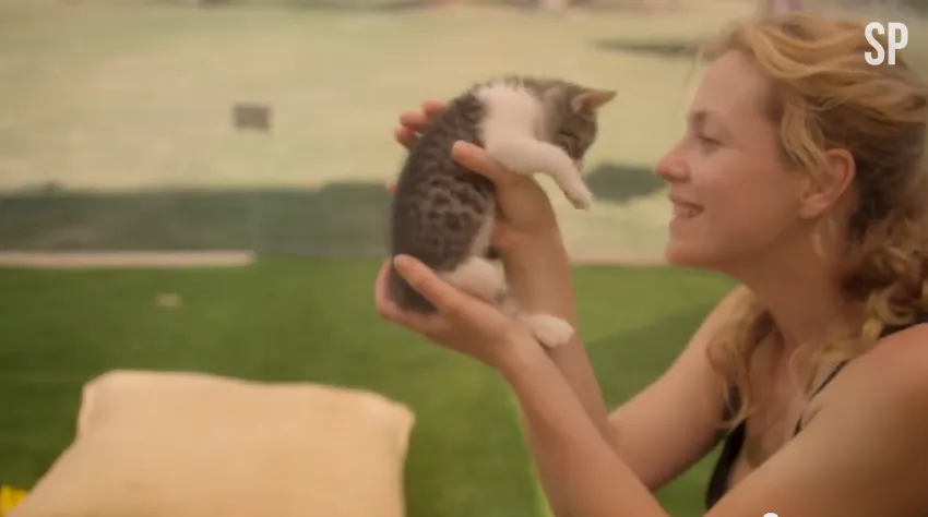 Purina - Kitten Therapy (The Prescription for Stress)