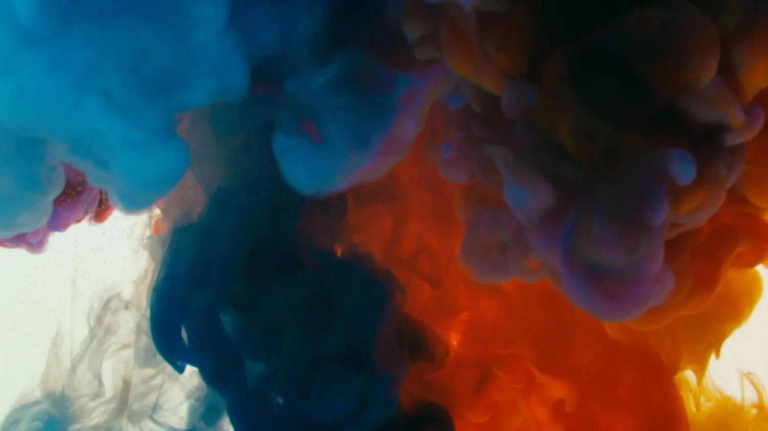 Lush - The Experimenter Lush - The Experimenter