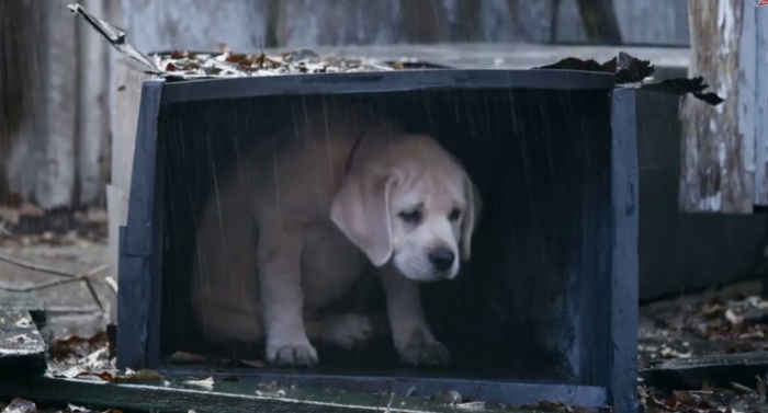 Музыка из рекламы Budweiser - Lost Dog Музыка из рекламы Budweiser - Lost Dog