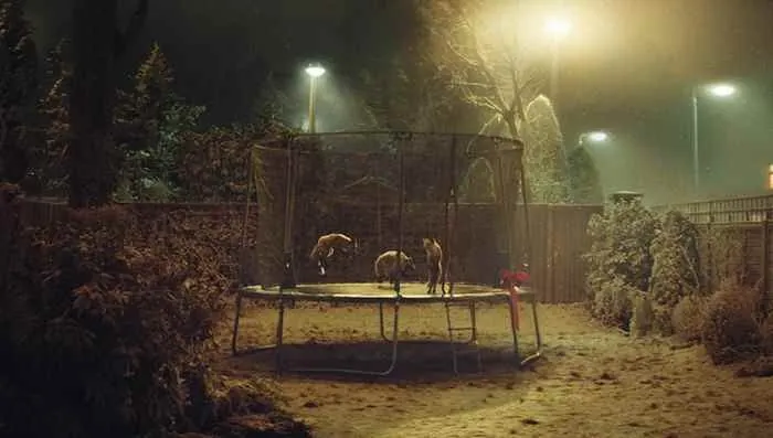 John Lewis - #BusterTheBoxer