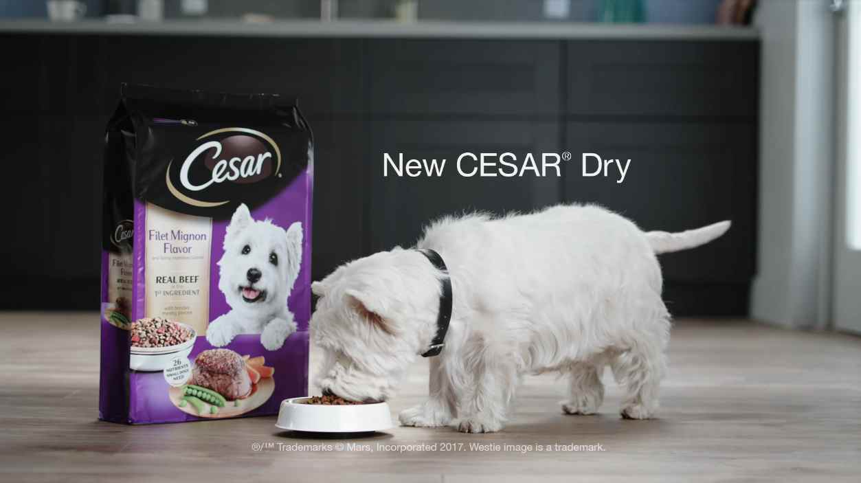 Музыка из рекламы CESAR - Tastes Like Happy