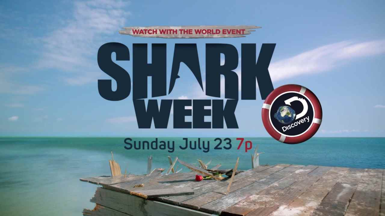 Музыка из рекламы Discovery - Shark Week (Seal)