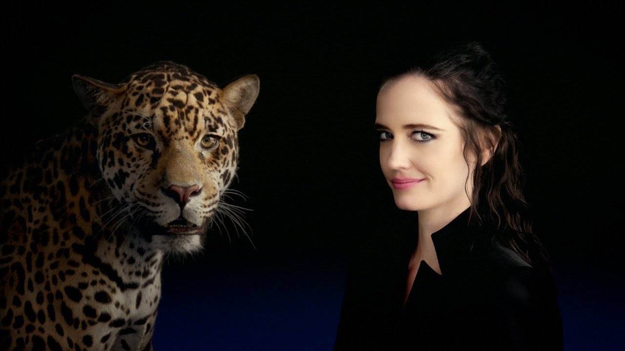 Музыка из рекламы Jaguar - A Breed Apart (Eva Green)
