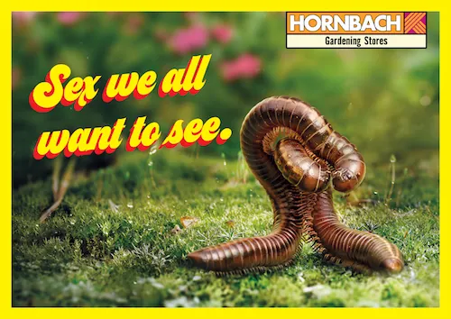 Hornbach - Biodiversity starts in your garden Hornbach - Biodiversity starts in your garden