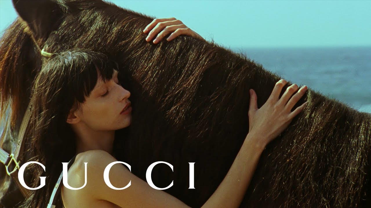 Музыка из рекламы Gucci - Of Course a Horse