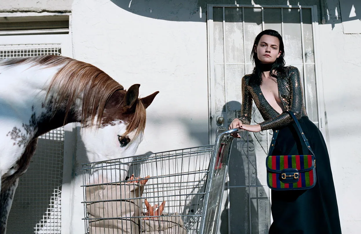 Gucci - Of Course a Horse