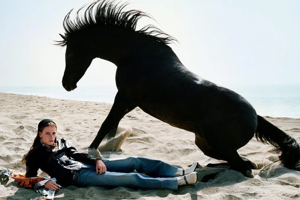 Gucci - Of Course a Horse