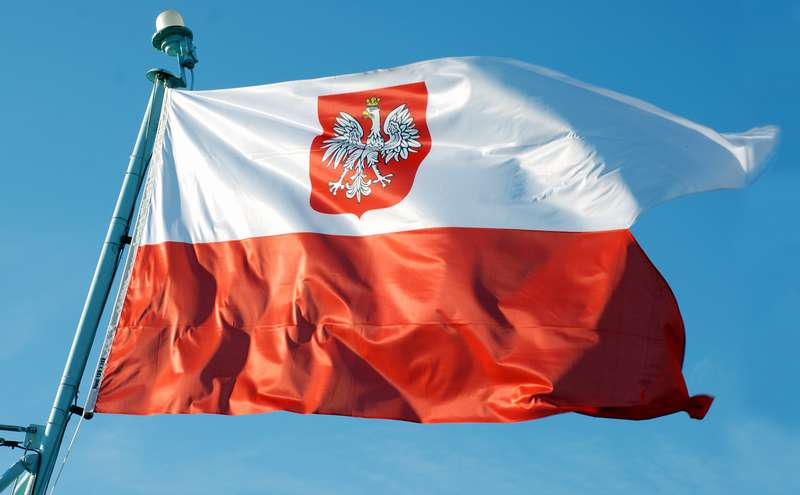Электроника из Польши – оптом и в розницу