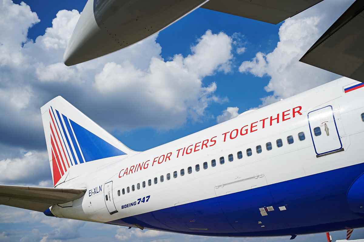 «Трансаэро» превратил самолет в тигра