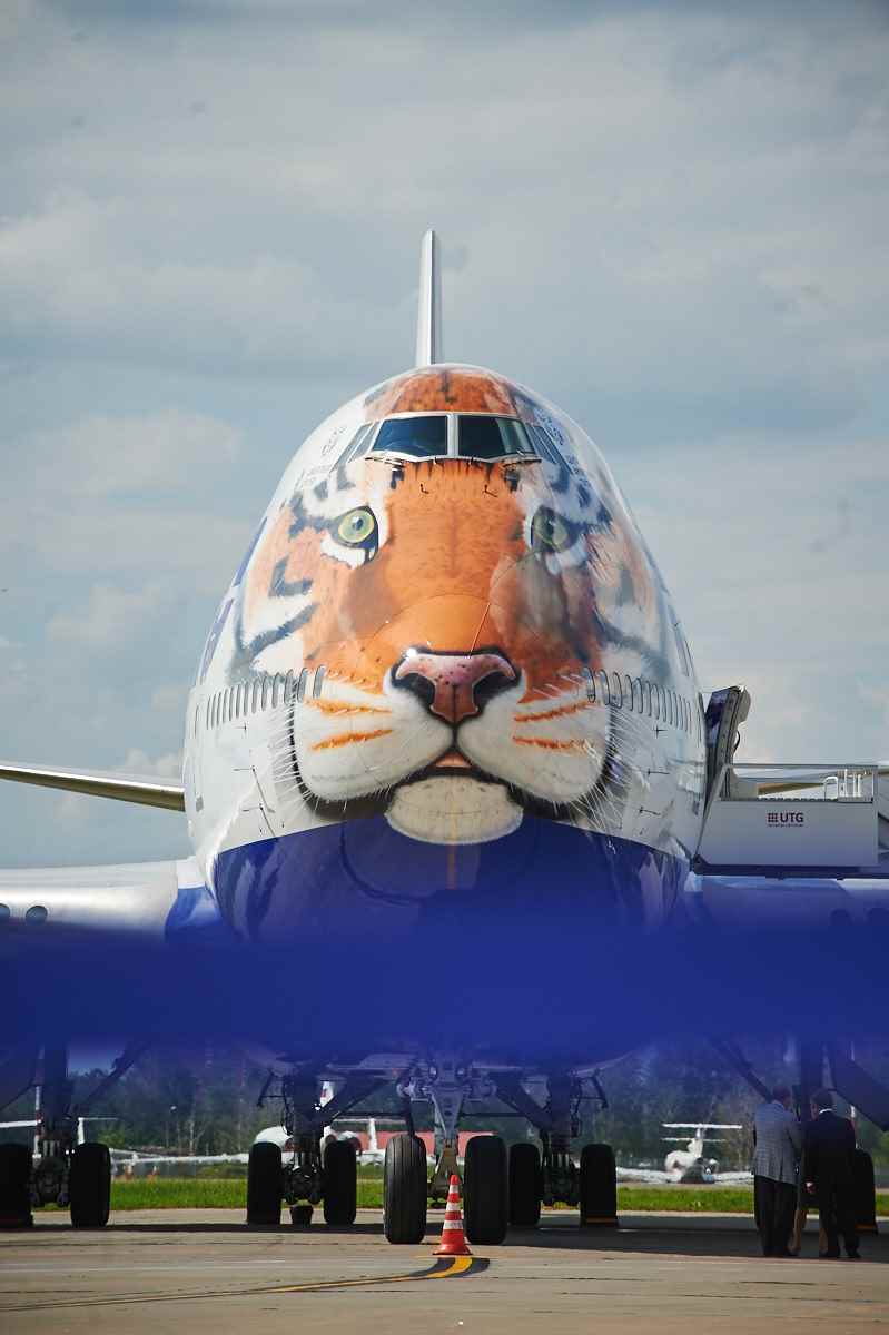 «Трансаэро» превратил самолет в тигра