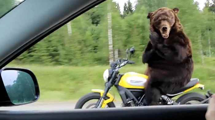 Агентство Smetanа представило забавный вирус про российских автомобилистов и мотоциклистов