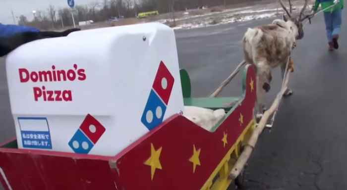 Domino's Pizza в Японии будут отправлять заказы на оленях