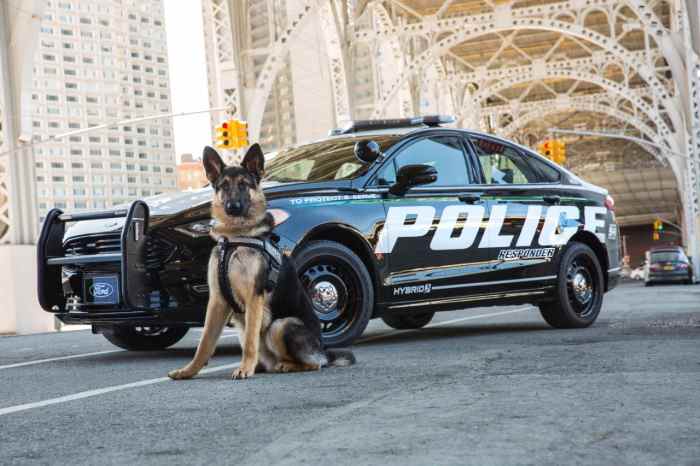 Ford представил гибридный автомобиль для полиции