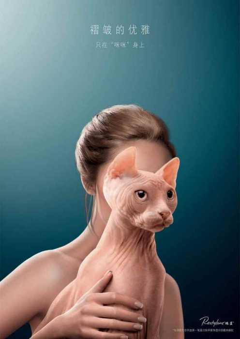 Косметические процедуры рекламируют при помощи образов морщинистых собак и кошек