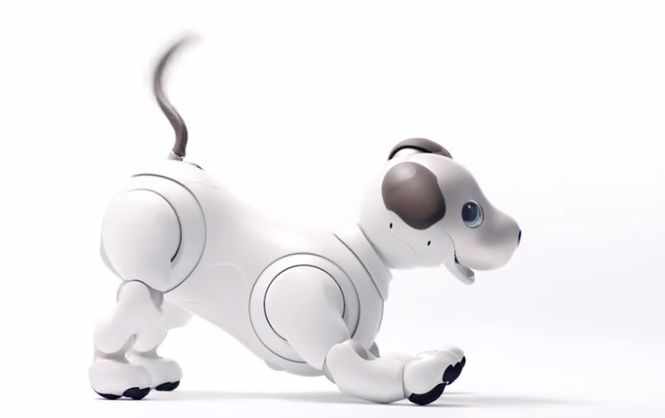 Воскрешение легендарного робота-собаки от Sony