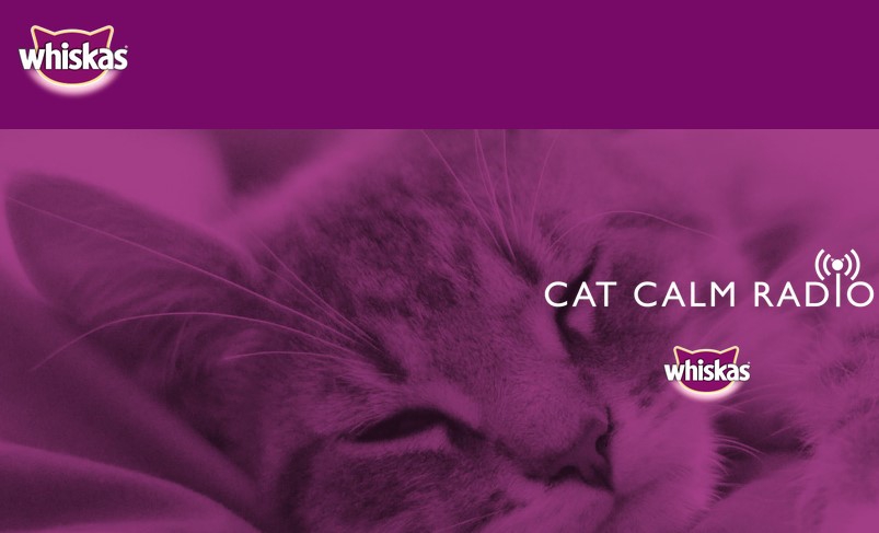 BBDO Toronto и Whiskas запустили радиостанцию для котов
