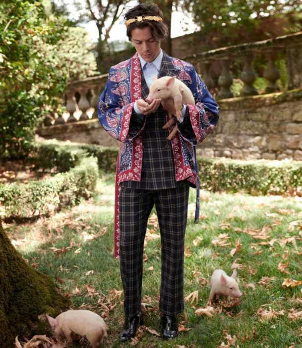 Гарри Стайлз с поросятами и ягнятами в рекламе Gucci