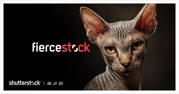 Shutterstock запустил маркетинговую кампанию впервые за 6 лет.
