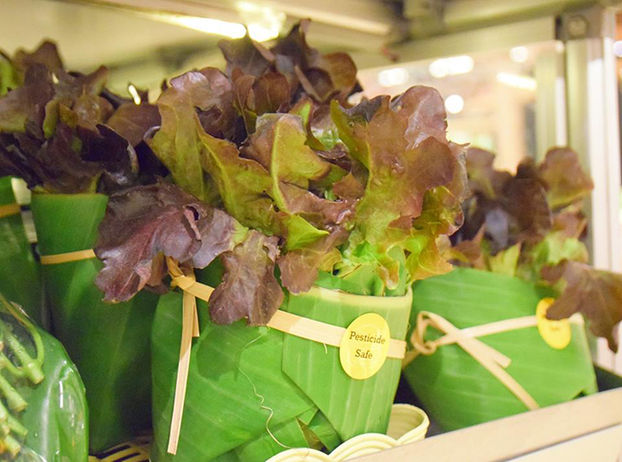 Азиатские супермаркеты начали использовать упаковку из листьев вместо пластика.