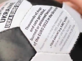 Скулящий мяч рассказал немцам об отстреле бездомных собак на Украине