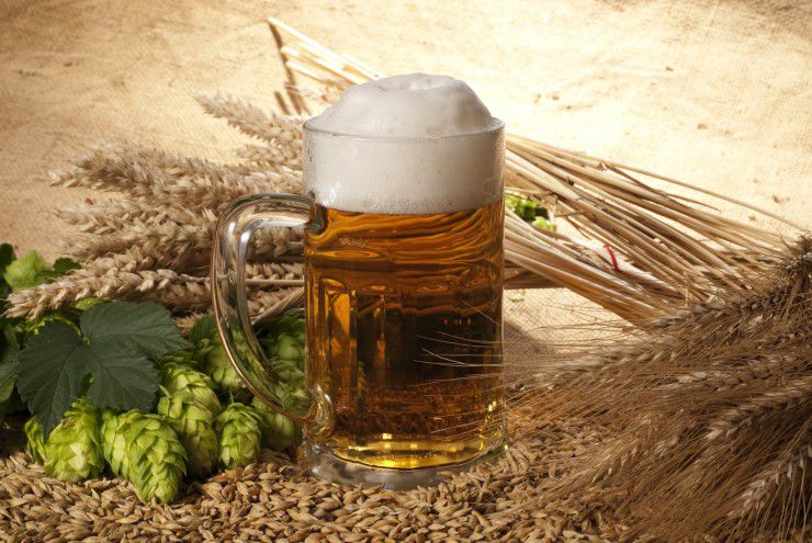 Солод: основа качественного и вкусного пива