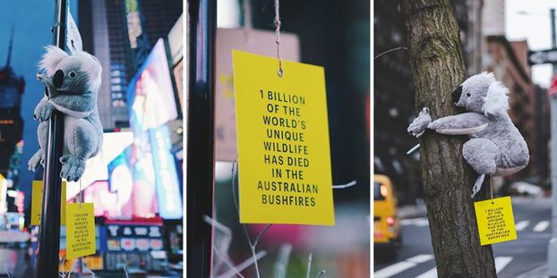 Плюшевые коалы собирают на улицах Нью-Йорка средства на благотворительность