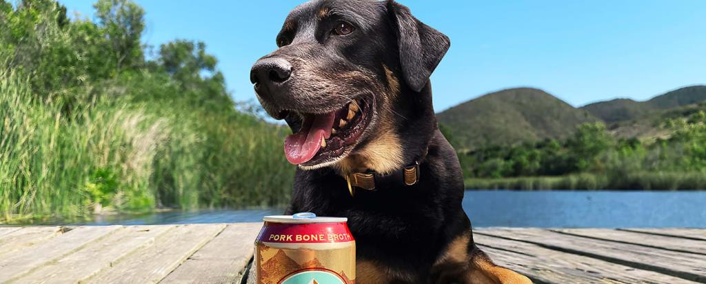 Anheuser-Busch выпустили пиво для собак