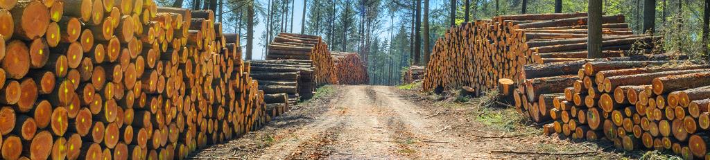 Почему шредер — лучший вариант для измельчения древесины