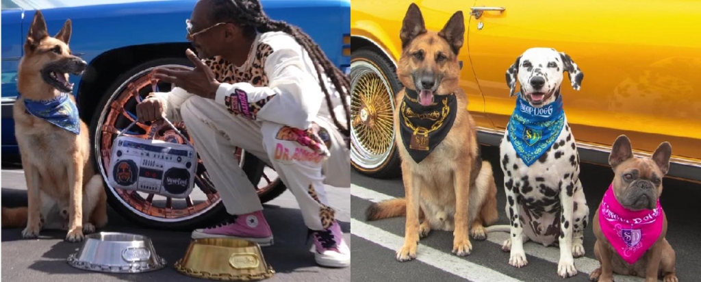 Snoop Dogg создал коллекцию одежды для животных