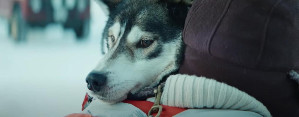 Трогательный рождественский ролик рассказал о приключении отца и сына с любимым псом