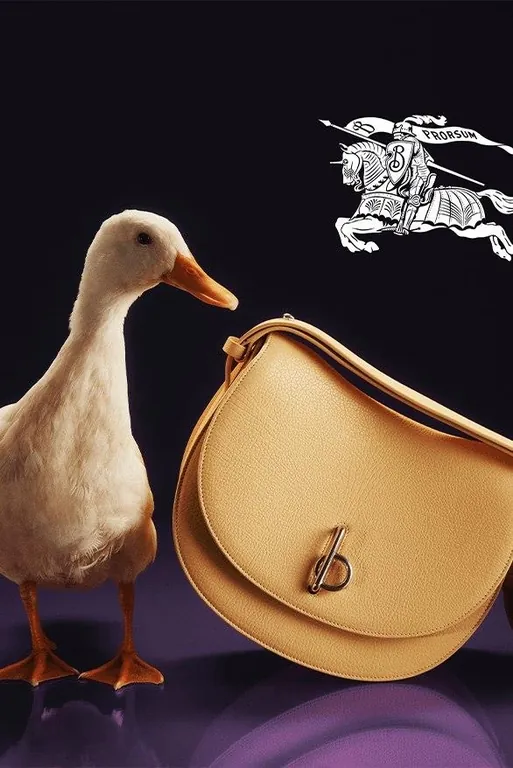 Утки и собачки стали героями кампании Burberry