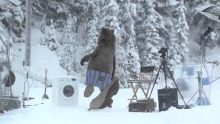 Медведь - чистюля в рекламе Samsung.